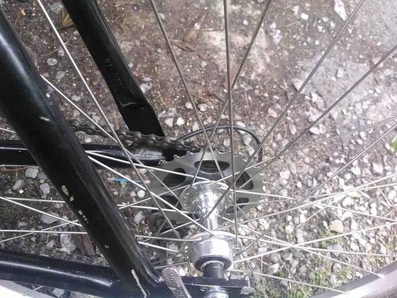 WP_000707.webp