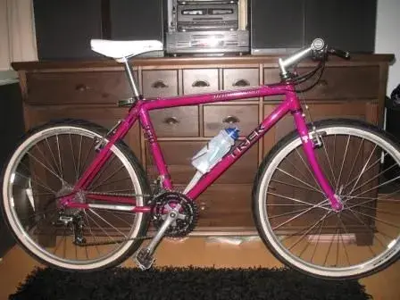 trek.webp