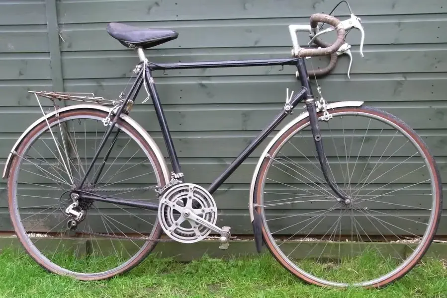 raleigh comp1.webp