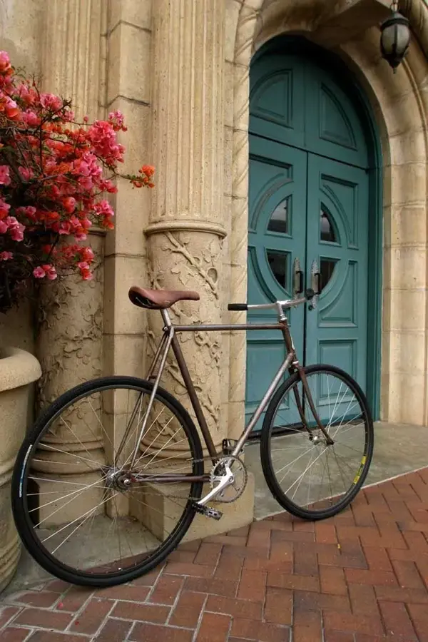 Monark Fixed Gear A.webp