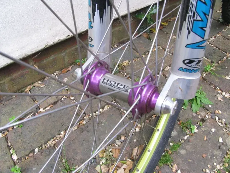Balance pic.webp