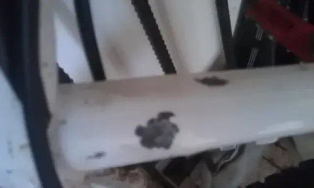 IMAG0006.webp