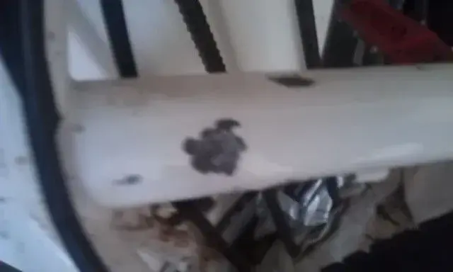 IMAG0004.webp