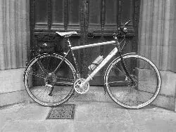 My hybrid in York(1).webp