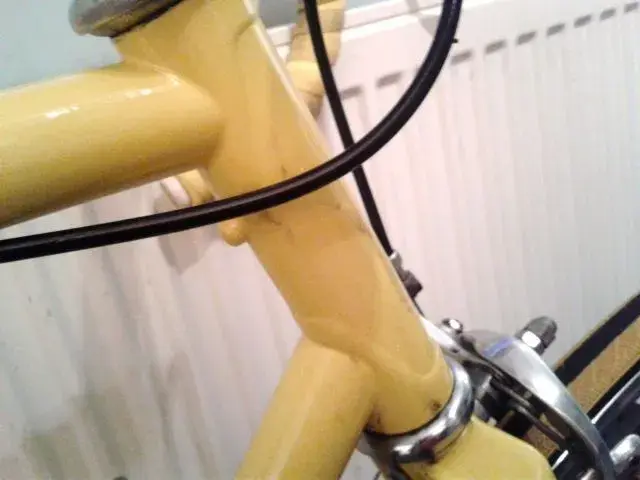 yellow beater1.webp