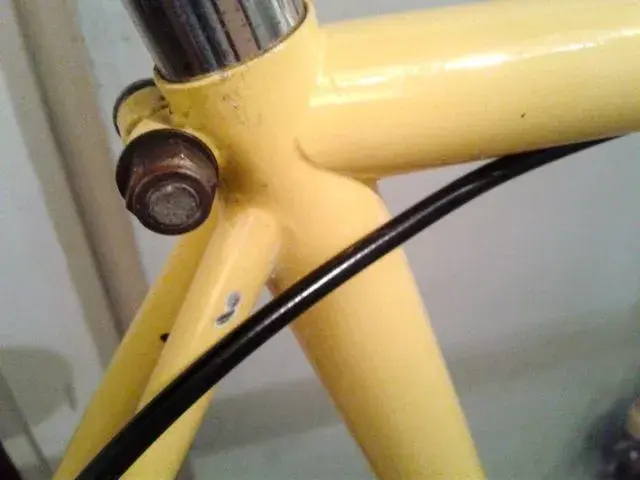 yellow beater3.webp