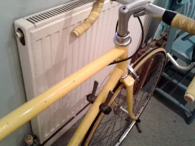 yellow beater4.webp