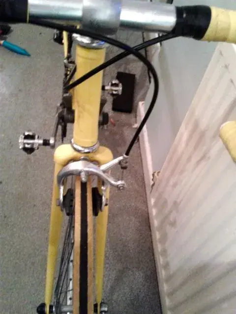 yellow beater5.webp
