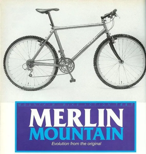 Merlin.webp