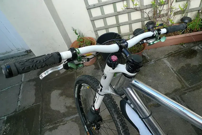 L1020564.webp