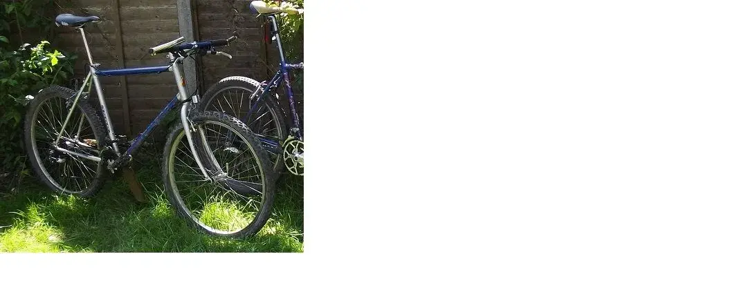 CroMo 1000.webp
