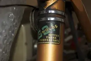 reynolds2.webp
