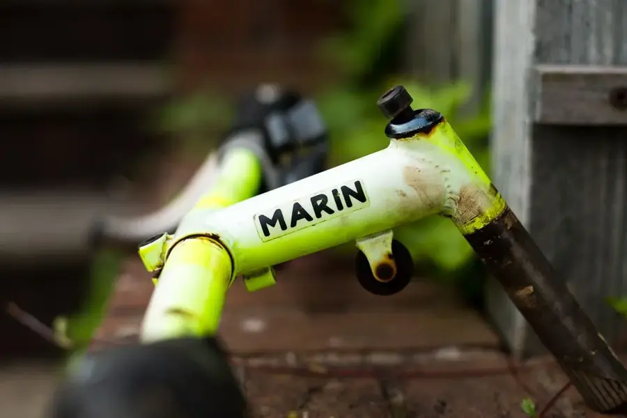 Marin-1.webp