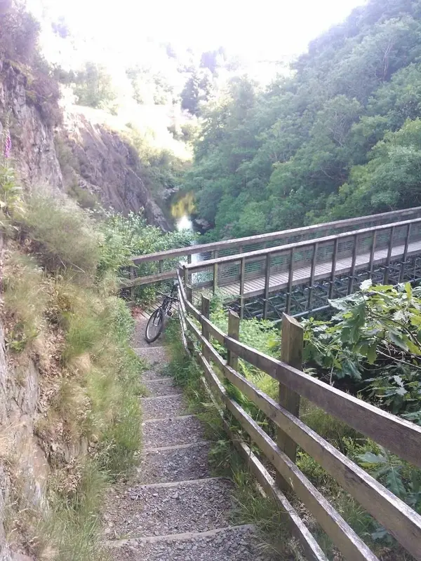 WP_000796.webp