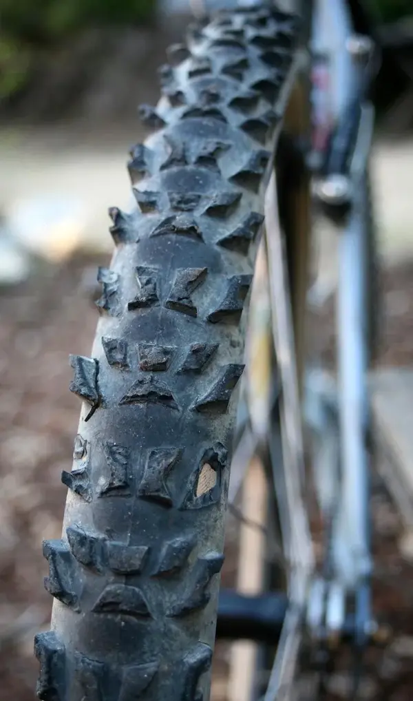 91 Stumpjumper 4 web.webp