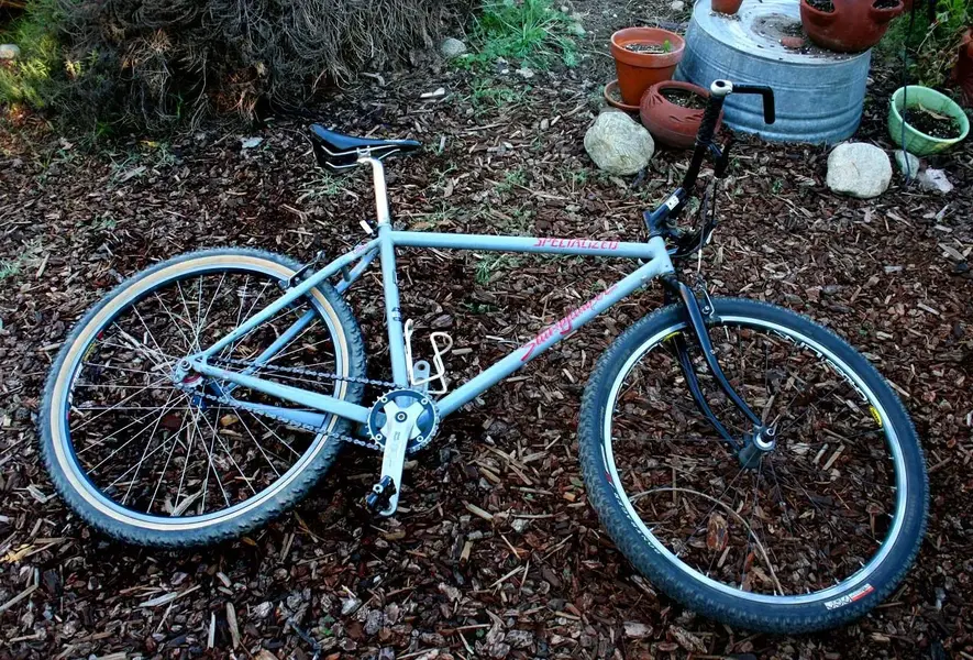 91 Stumpjumper 1 web.webp
