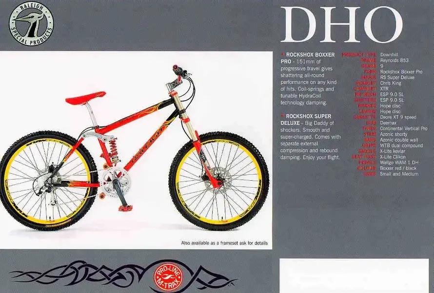 DHO.webp
