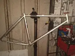 Team Marin frame.webp