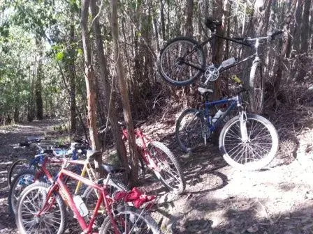 Retro Madness Vic Park 2.webp
