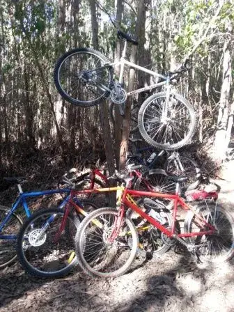 Retro Madness Vic Park.webp