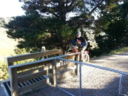 Andrew 86 Dale - Rapaki Gate.webp