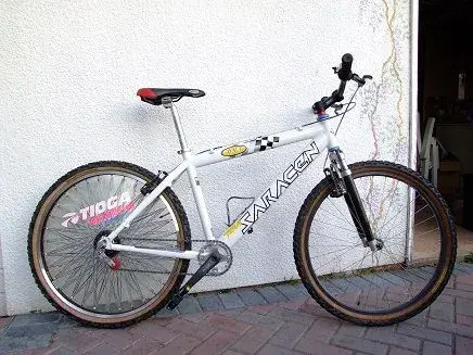 my singlespeed reto.webp