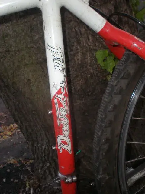 dave lloyd all terain 006.webp