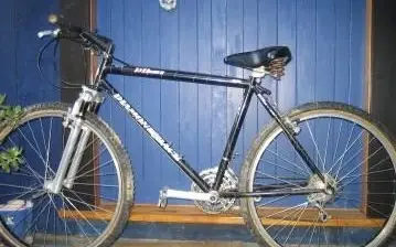 diamondback.webp