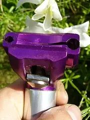 2610870676_3627023acd_m.webp