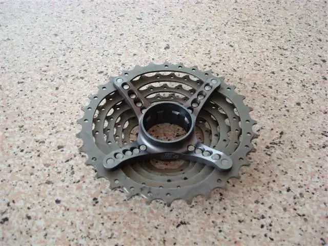 xtr 005 (Small).webp