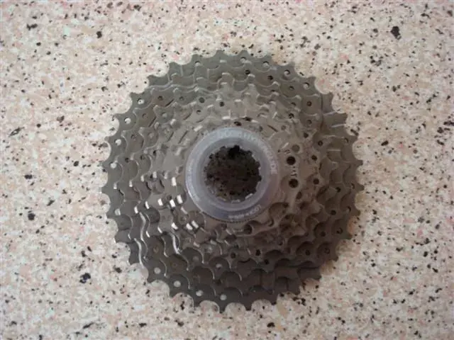 xtr 004 (Small).webp