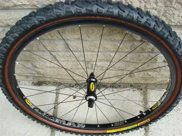 xtr 018 (Small).webp
