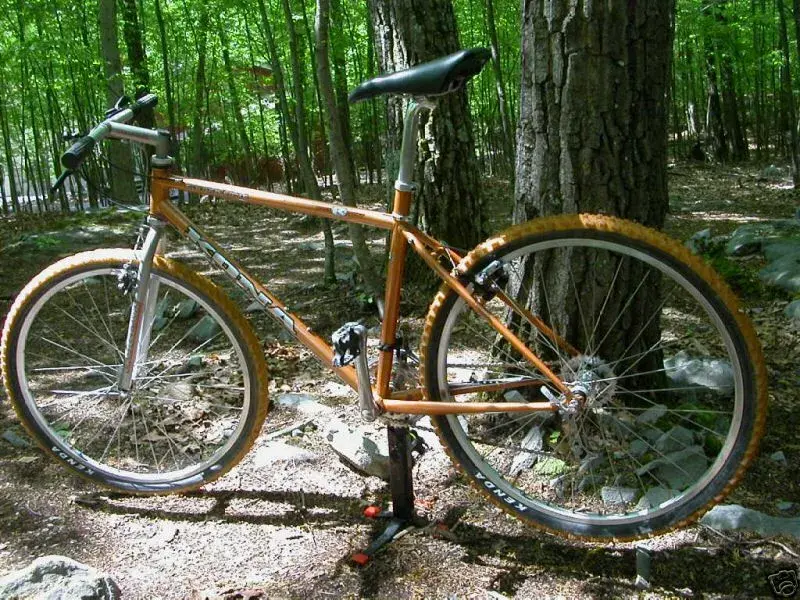 1994 Cinder Cone size 18 w matching tyres.webp
