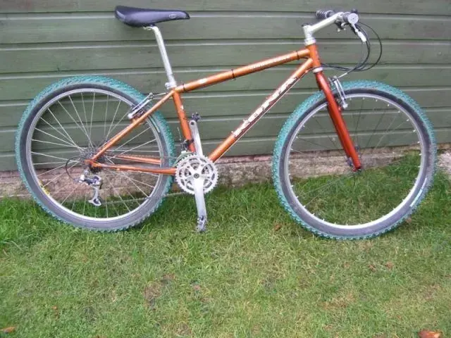 1994 Cinder Cone size 16 in bronze.webp