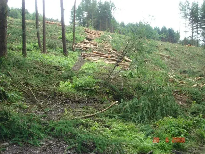 Death Of A Trail (3).webp
