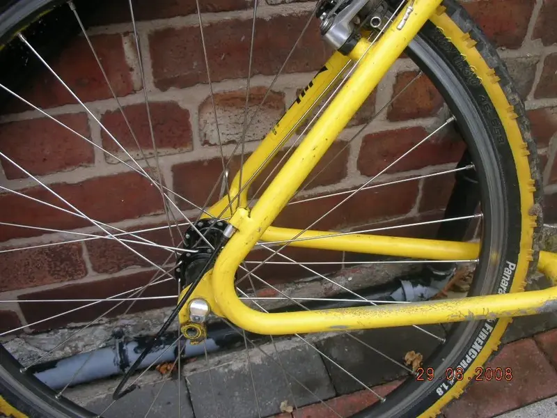 DSCN4471.webp