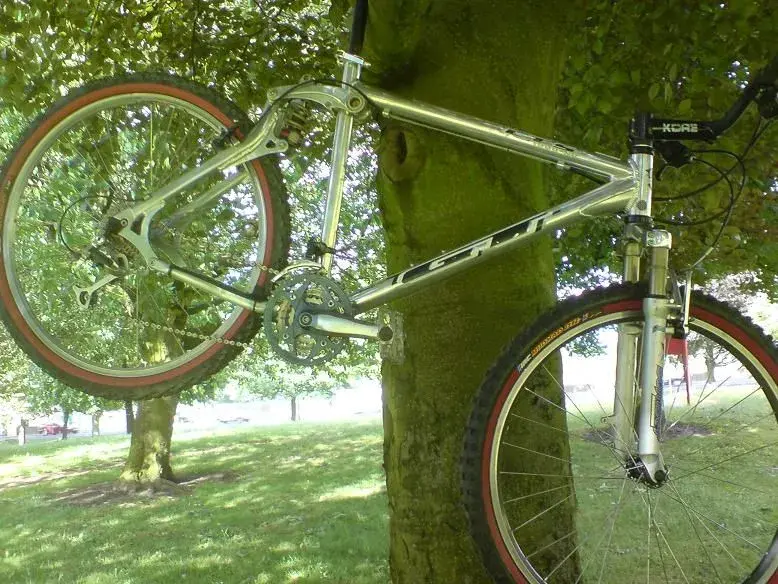 LTS in a tree.webp