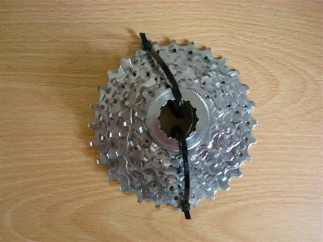 xtr 003 (Small) (2).webp