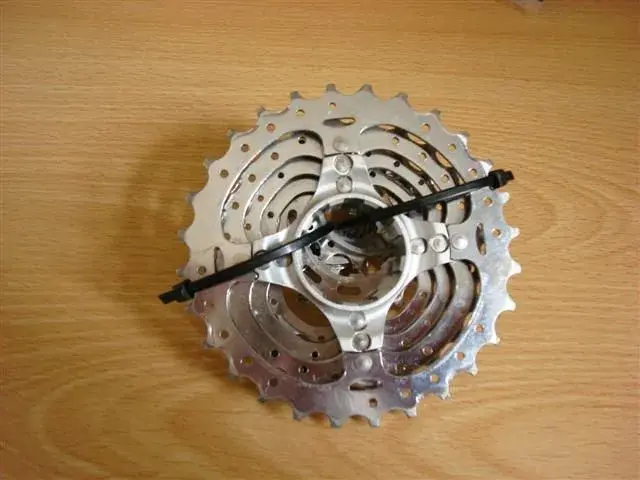 xtr 001 (Small) (2).webp