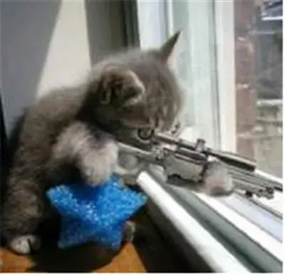 lilsniper.webp