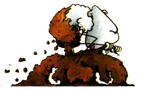 mintmud.webp