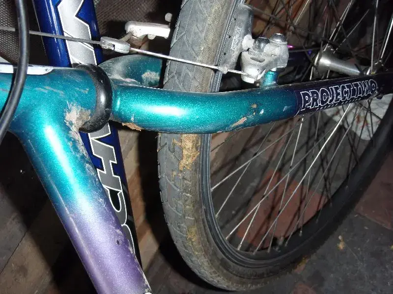 P7120758 (Medium).webp