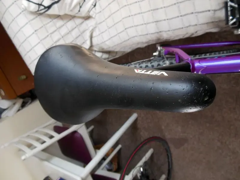 saddle.webp