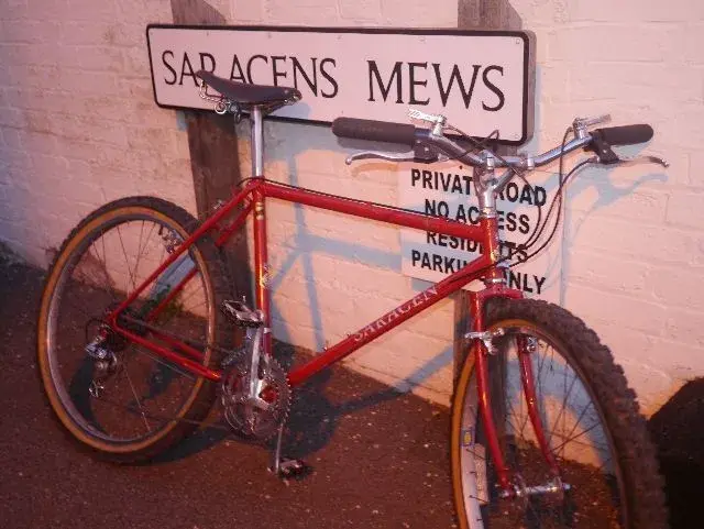 saracen 2.webp
