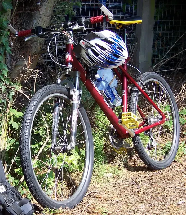 me and bike 008.webp