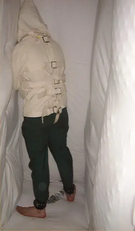 image.webp