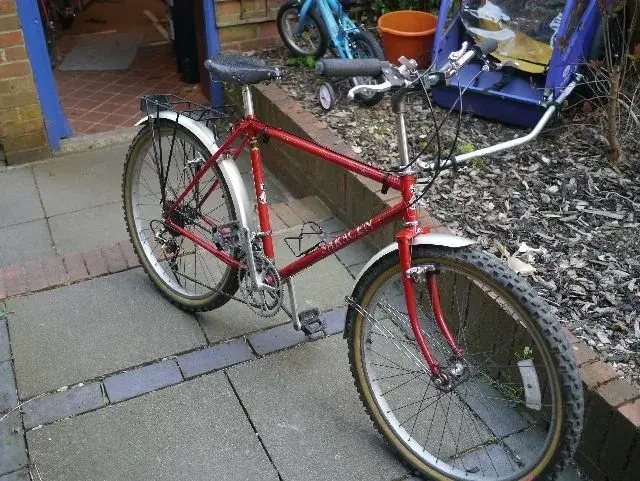 here she is.webp