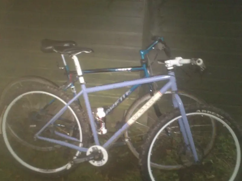 29er comparison.webp