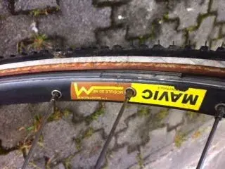 Mavic.webp