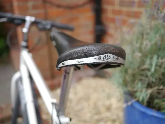 saddle.webp